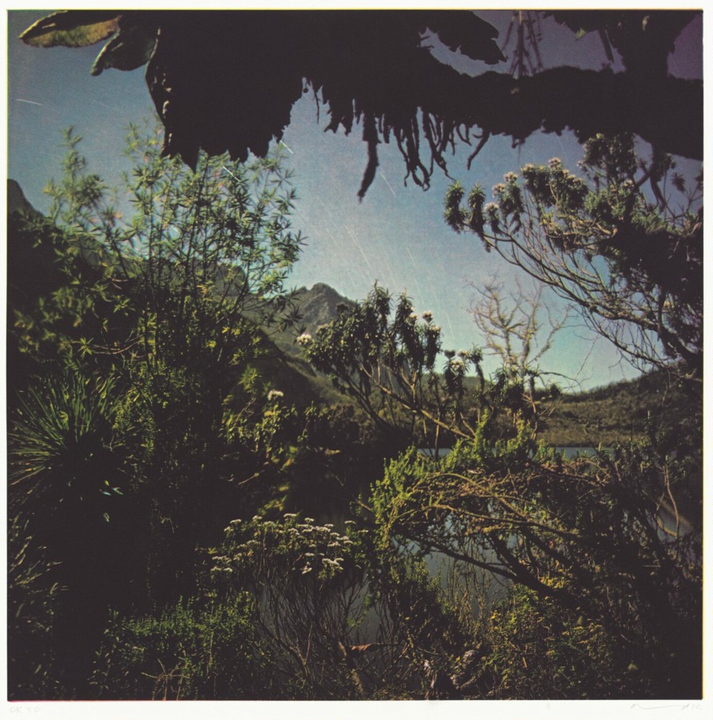 Early indicators of scientific impact: Predicting citations with altmetrics